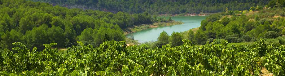 Acustic Celler