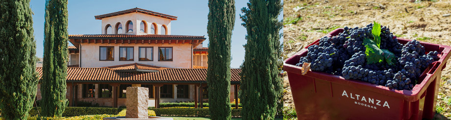 Altanza