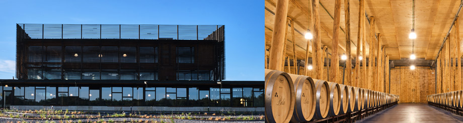 Bodega Bela