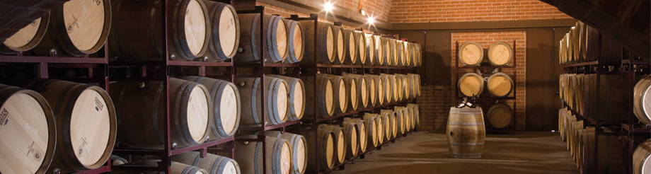Bodega Cyan