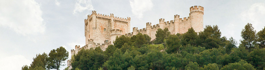Bodegas Peñafiel
