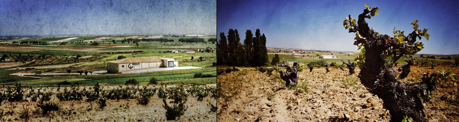 Bodegas Tridente