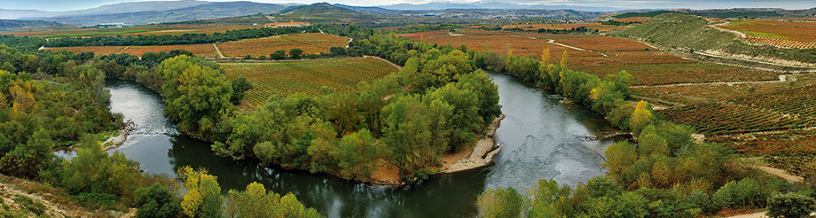 Bodegas Valdelana