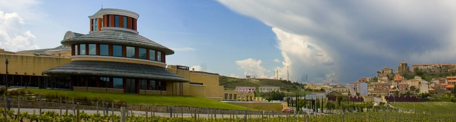 Bodegas Vivanco