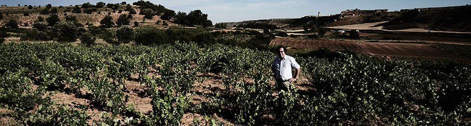 Bodegas Antídoto