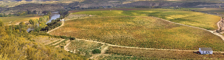 Bodegas LAN
