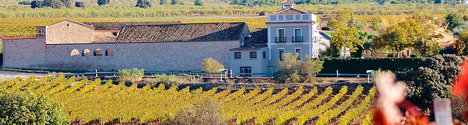 Bodega Mustiguillo