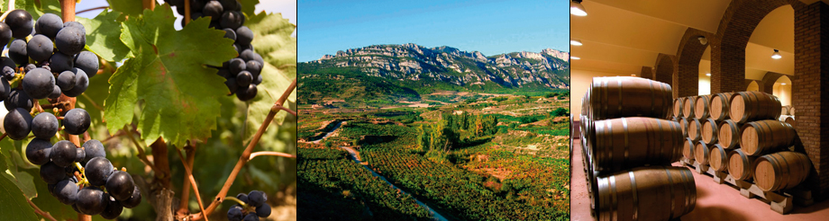 Bodegas Orben