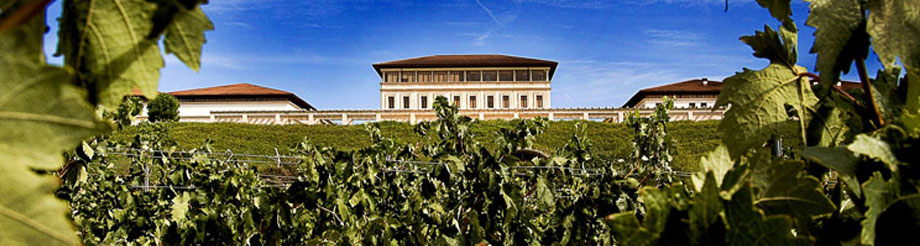 Rioja Vega