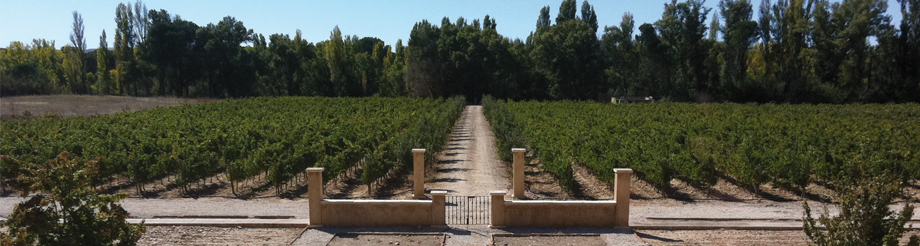 Bodegas Bohórquez