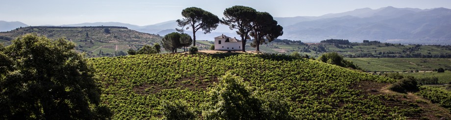 Bodegas Casar de Burbia