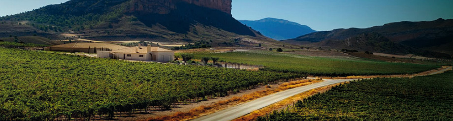 Bodegas El Nido