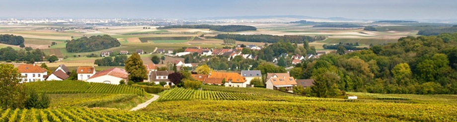 Bodegas Briego