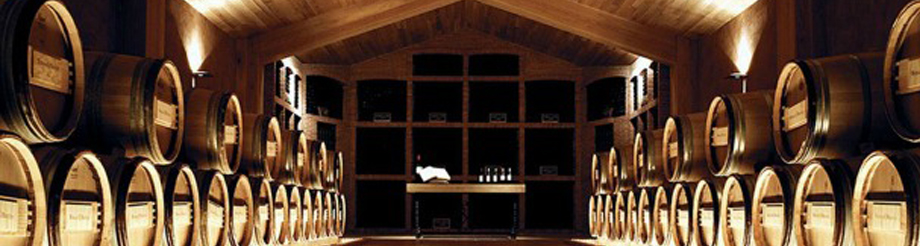Finca Nueva