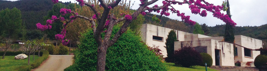 Bodegas Gargalo