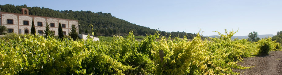 Bodega Granza