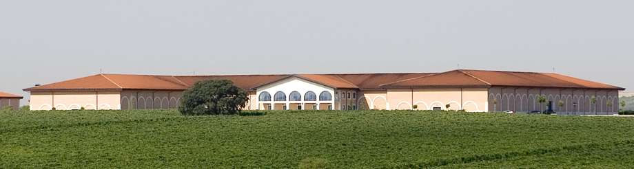 Finca Museum