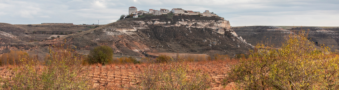 Bodegas Ontañón