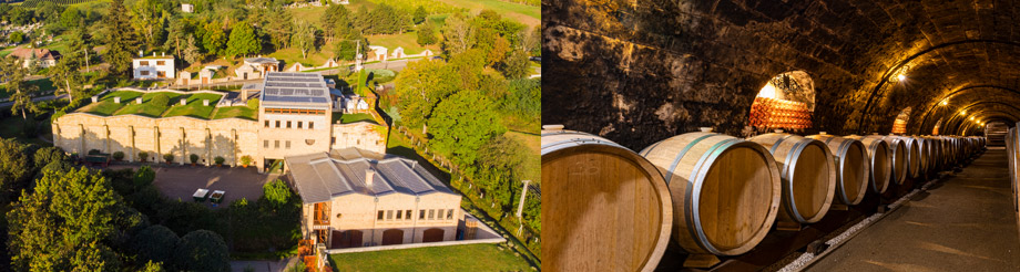 Bodegas y Viñedos Tokaj Oremus