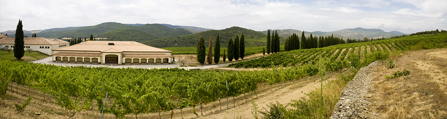 Bodega de Sarría