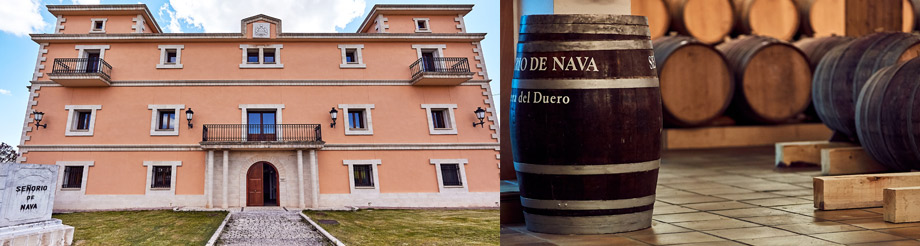 Bodegas Señorío de Nava SA