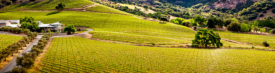 Shafer Vineyards