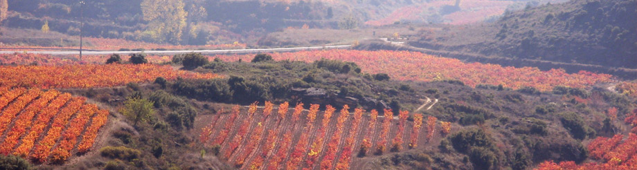Bodegas Sonsierra
